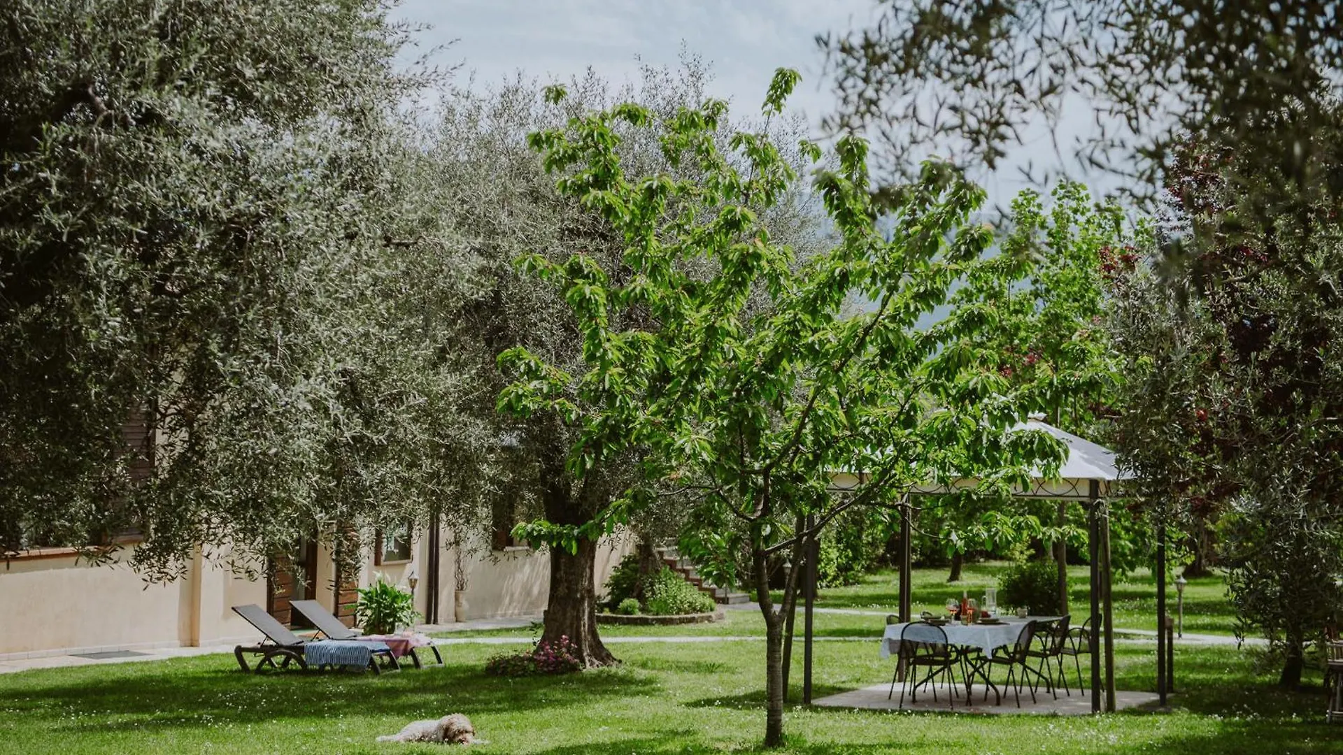 Campolivo Casa Vacanze Гарньяно 0*,  Италия
